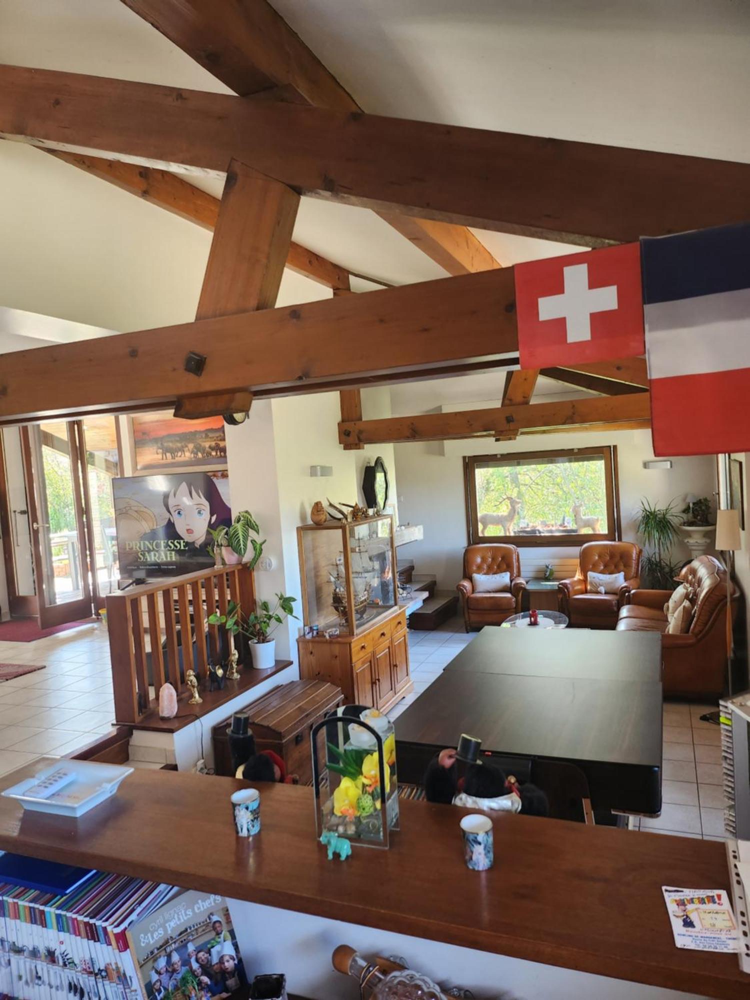 Maison Le Lézard chez Amalia et Fred Thonon-les-Bains Exterior foto